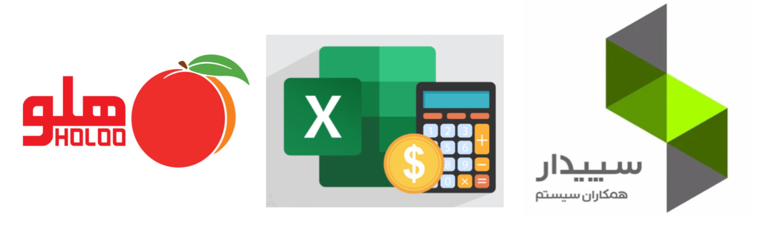 پکیج نرم افزار حسابداری (هلو، سپیدار و اکسل در حسابداری)