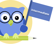 سطح Intermediate 1