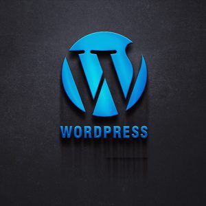 آموزش وردپرس مقدماتی (WordPress)