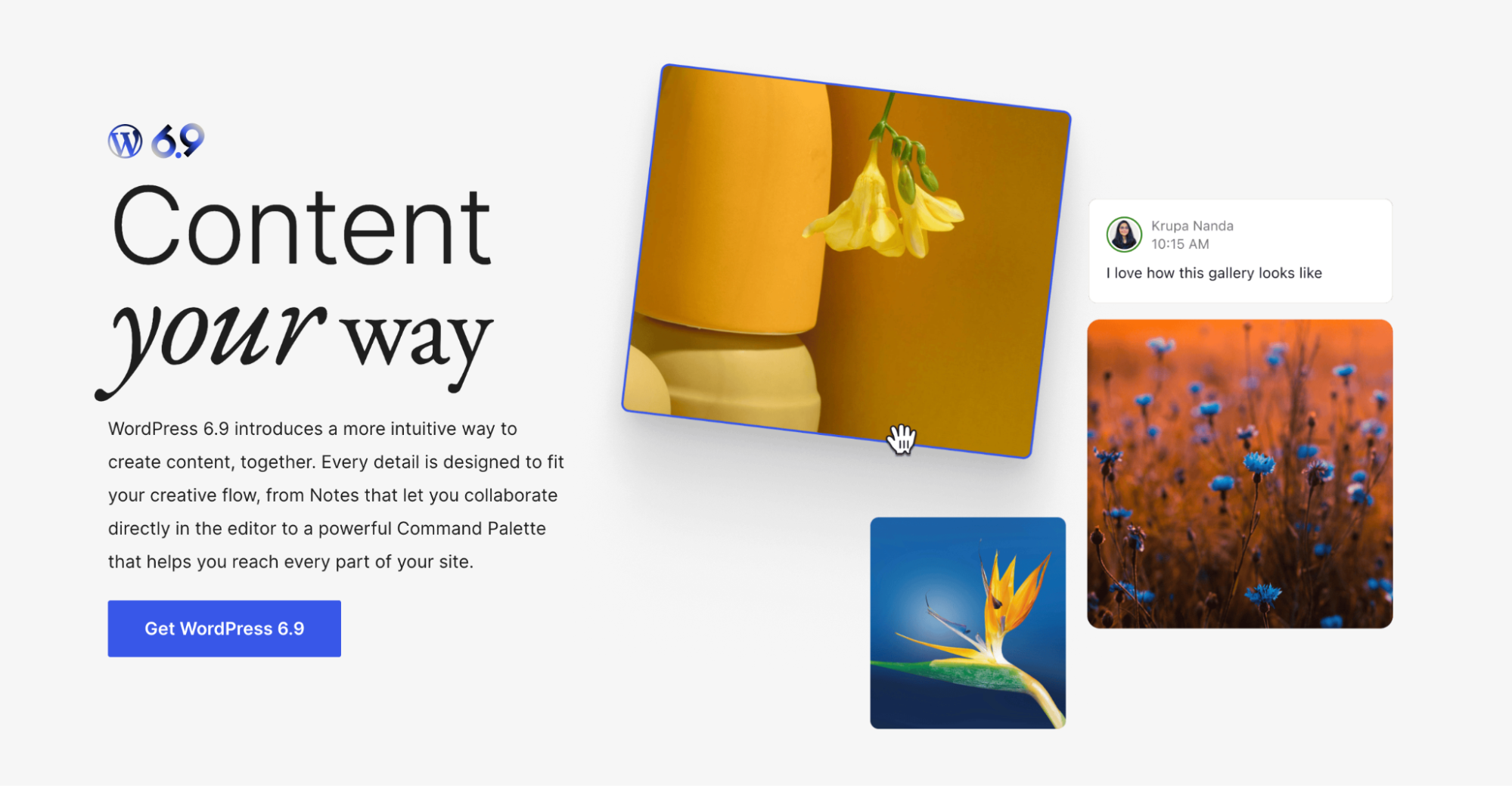 وردپرس 6.9 و تغییرات ACF